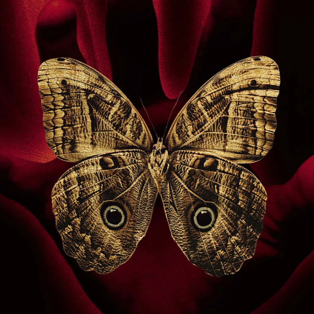 A Sound of Thunder: The Failed Adaptation of Bradbury's Classic